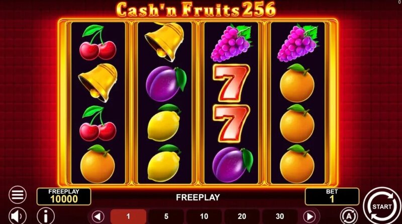 Maxwin303 Live Dealer Terbaik 2026