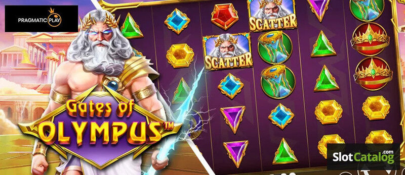 Maxwin303 Live Casino Review 2026